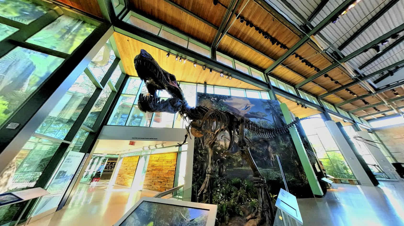 Naylor Family Dinosaur Gallery at the Witte Museum